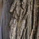 Illustration for article titled 36 Tantalizing Photos Of Textures